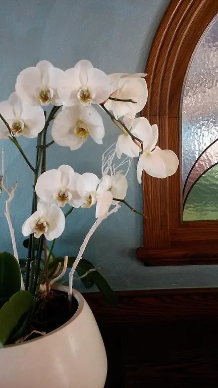 Residence Val Di Monte مالتشيزينيه